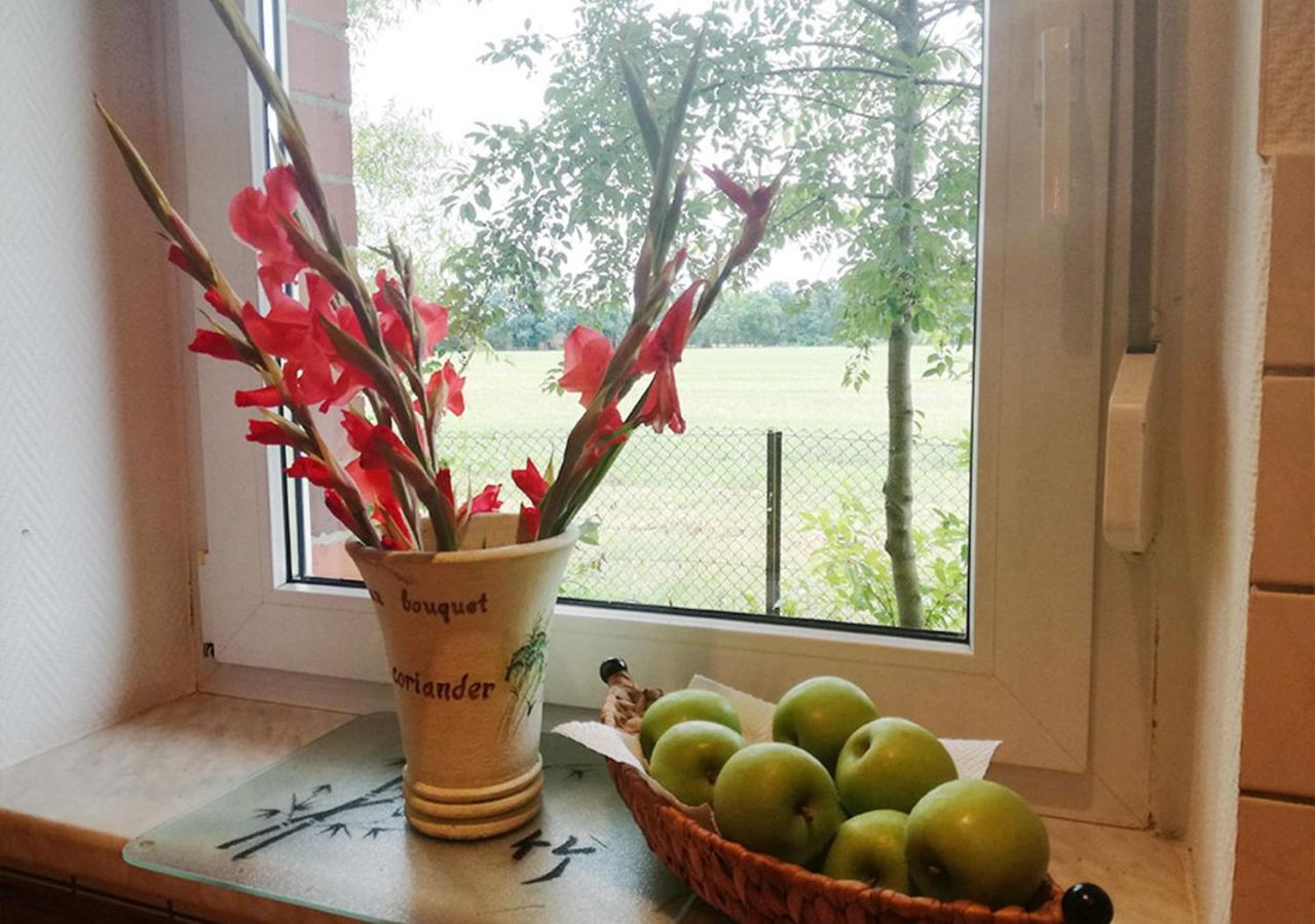 Ferienhaus Elpare Schleife 外观 照片